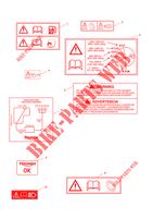 WARNING LABELS for Triumph STREET TRIPLE 660 S A2 RESTRICTED LICENCE VERSION 2020 -