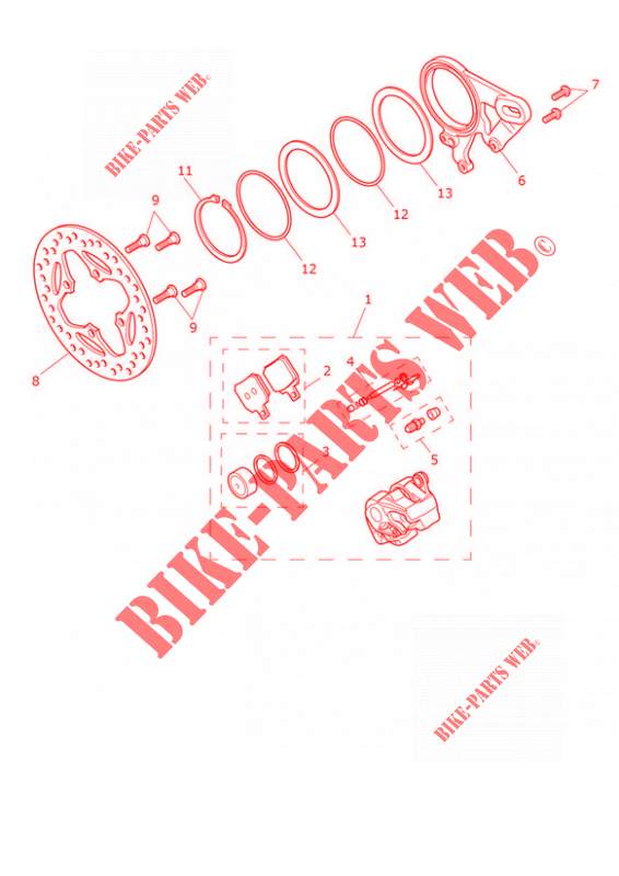 REAR BRAKE CALIPER & DISC for Triumph SPEED TRIPLE 1200 RR