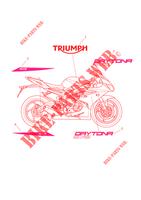 DECALS for Triumph DAYTONA 675