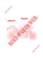 DECALS for Triumph SPEED TRIPLE
