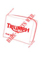 FIRST AID KIT DIN 13167 for Triumph SPEED TRIPLE R