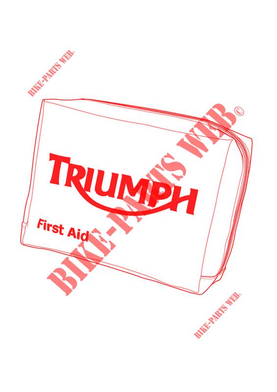 FIRST AID KIT DIN 13167 for Triumph SPEED TRIPLE R