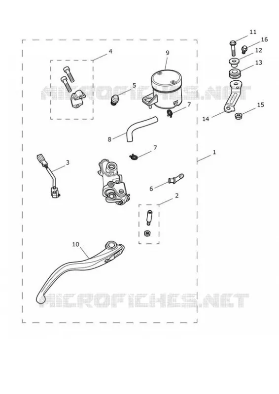 FRONT BRAKE MASTER CILINDER & HOSES Triumph MOTO Speed Speed-Triple SPEED TRIPLE RS  SPEED TRIPLE RS