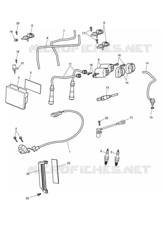 ENGINE MANAGEMENT SYSTEM Triumph MOTO Speed Speedmaster SPEEDMASTER EFI  SPEEDMASTER EFI