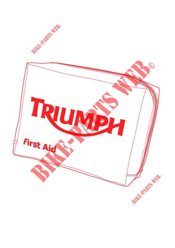 FIRST AID KIT DIN 13167 for Triumph SPRINT ST