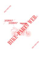 DECALS for Triumph STREET TRIPLE 675 2013 -