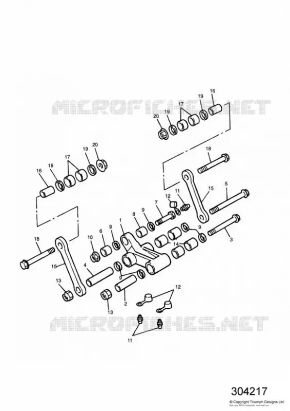 REAR SUSPENSION LINKAGE Triumph MOTO Tiger 885 TIGER 885 Carburetor  TIGER 885 Carburetor